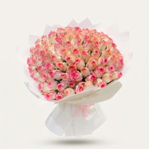 Sunny Chrysanthemum Petals