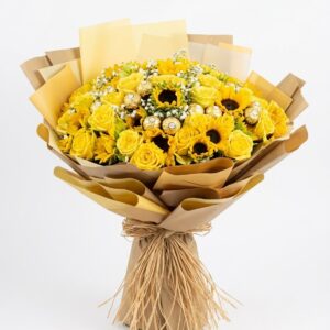 شروق البهجه