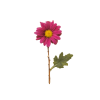 pink-flower-yellow-table_23-2148069424-Photoroom